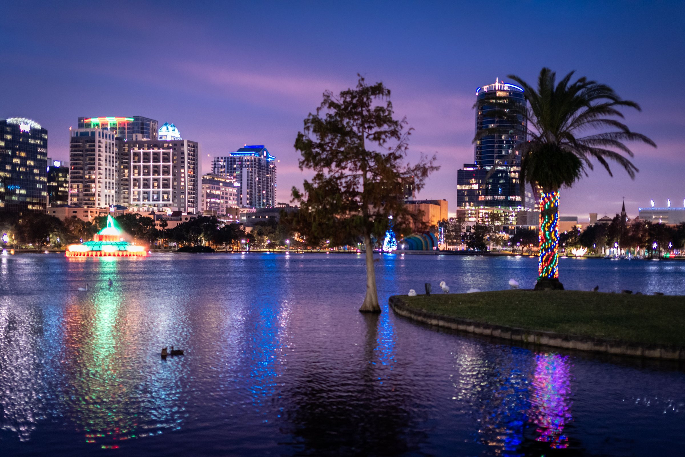 Purple twilight sky over downtown towers, a small lit fountain and a palm wrapped in red and green lights, with colorful reflections on the lake