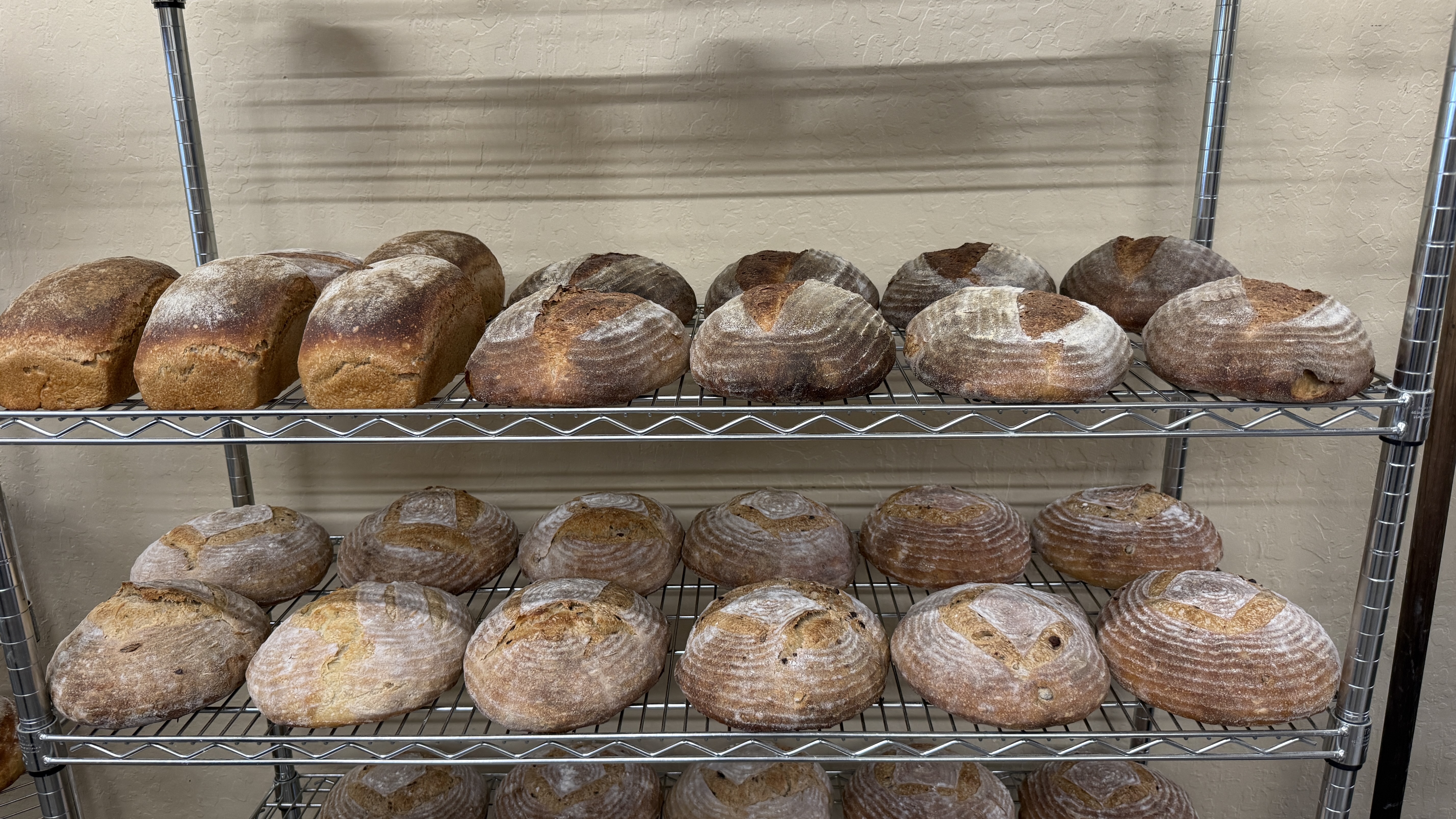 Flour-dusted sourdough boules on bakery racks