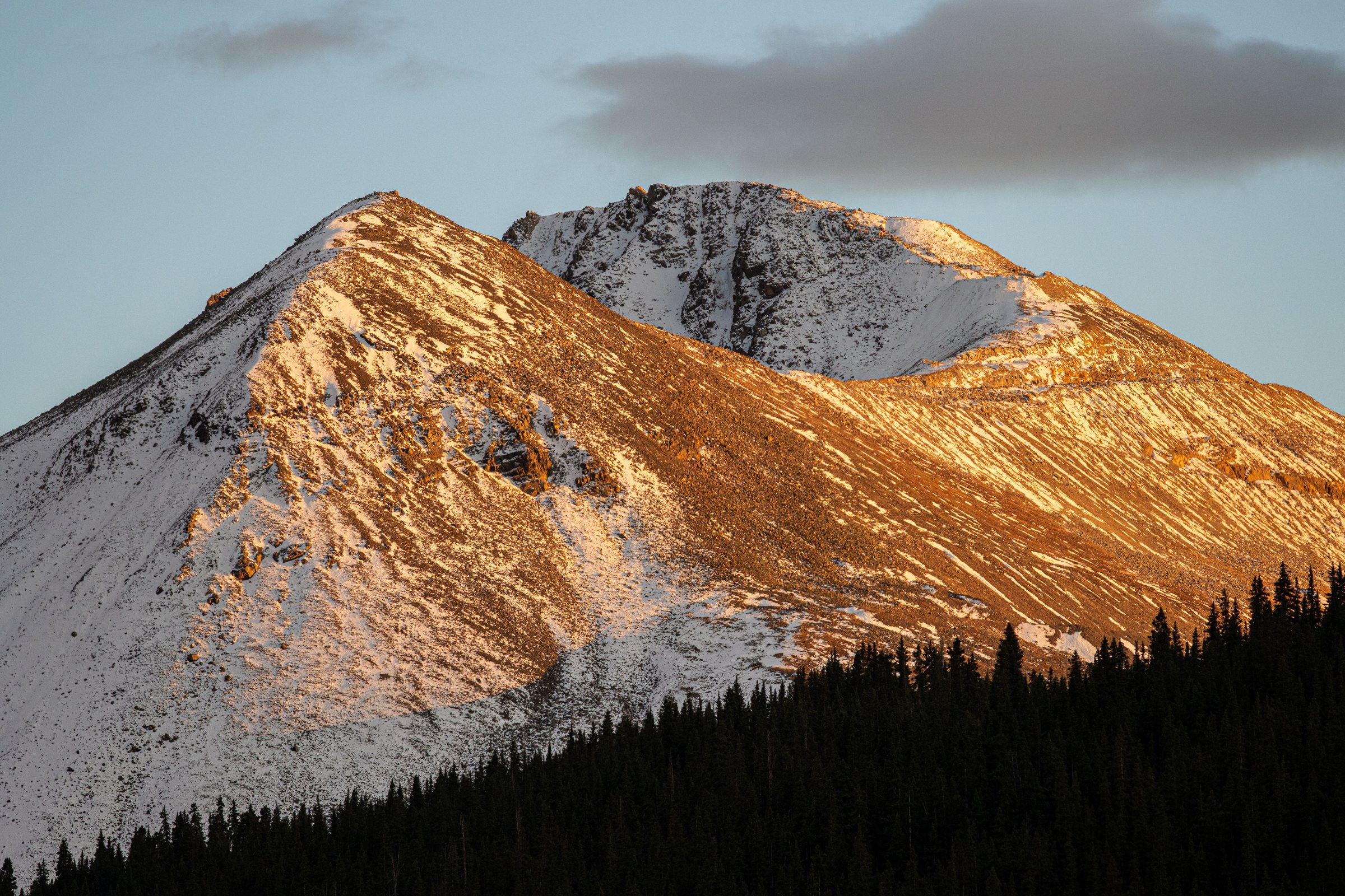 A snow-dusted mountain peak lit orange by sunset light, rising above a dark line of evergreen trees