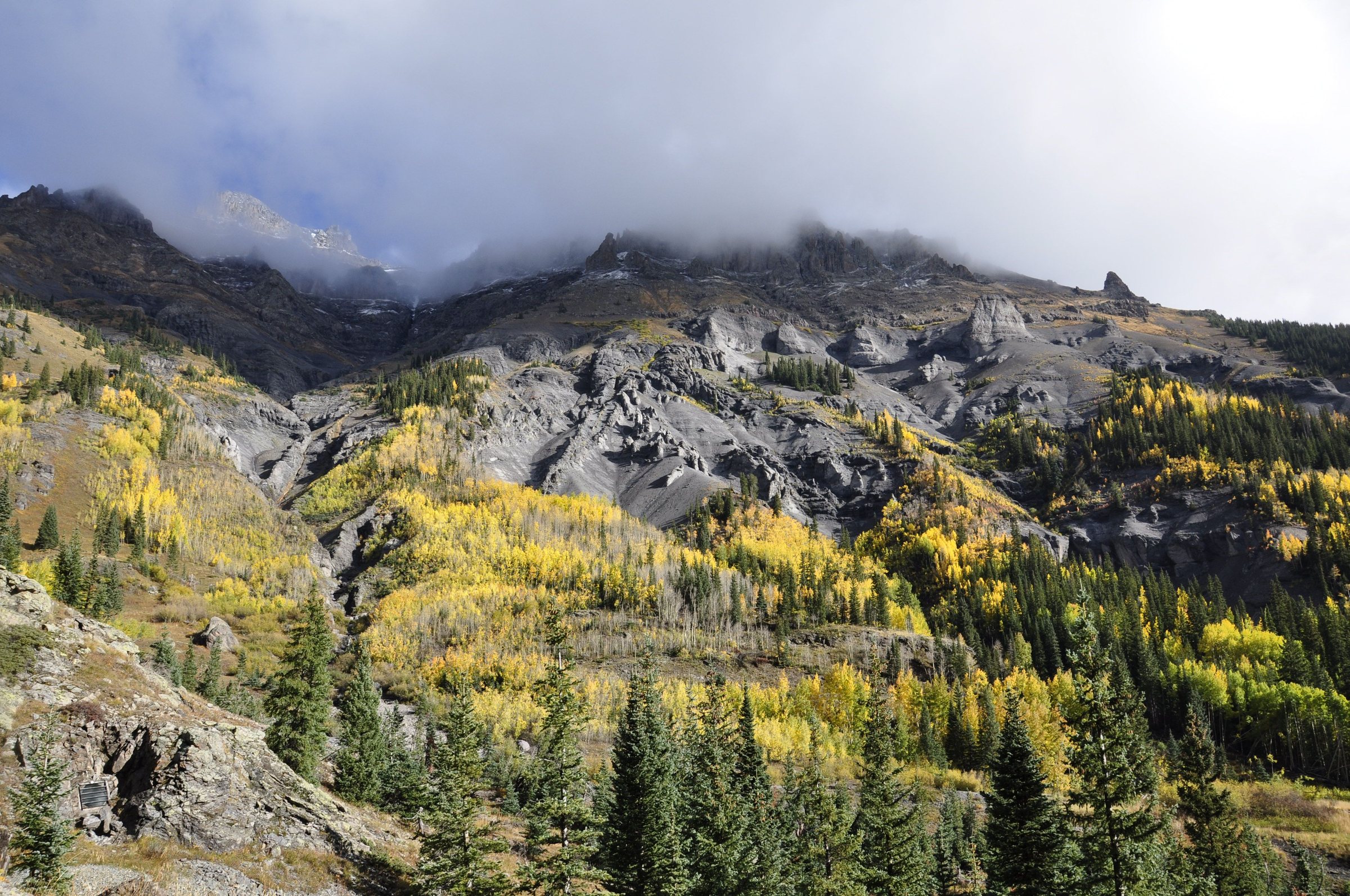 A rugged gray mountainside covered with patches of yellow and green aspen trees in fall, with dark evergreen trees in the foreground and low clouds hiding the peaks