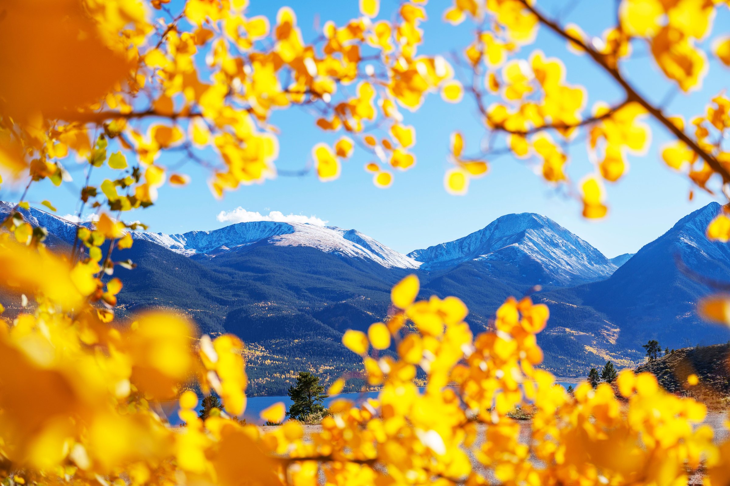 The World's First Ice Climbing Park Is in Ouray, Colorado