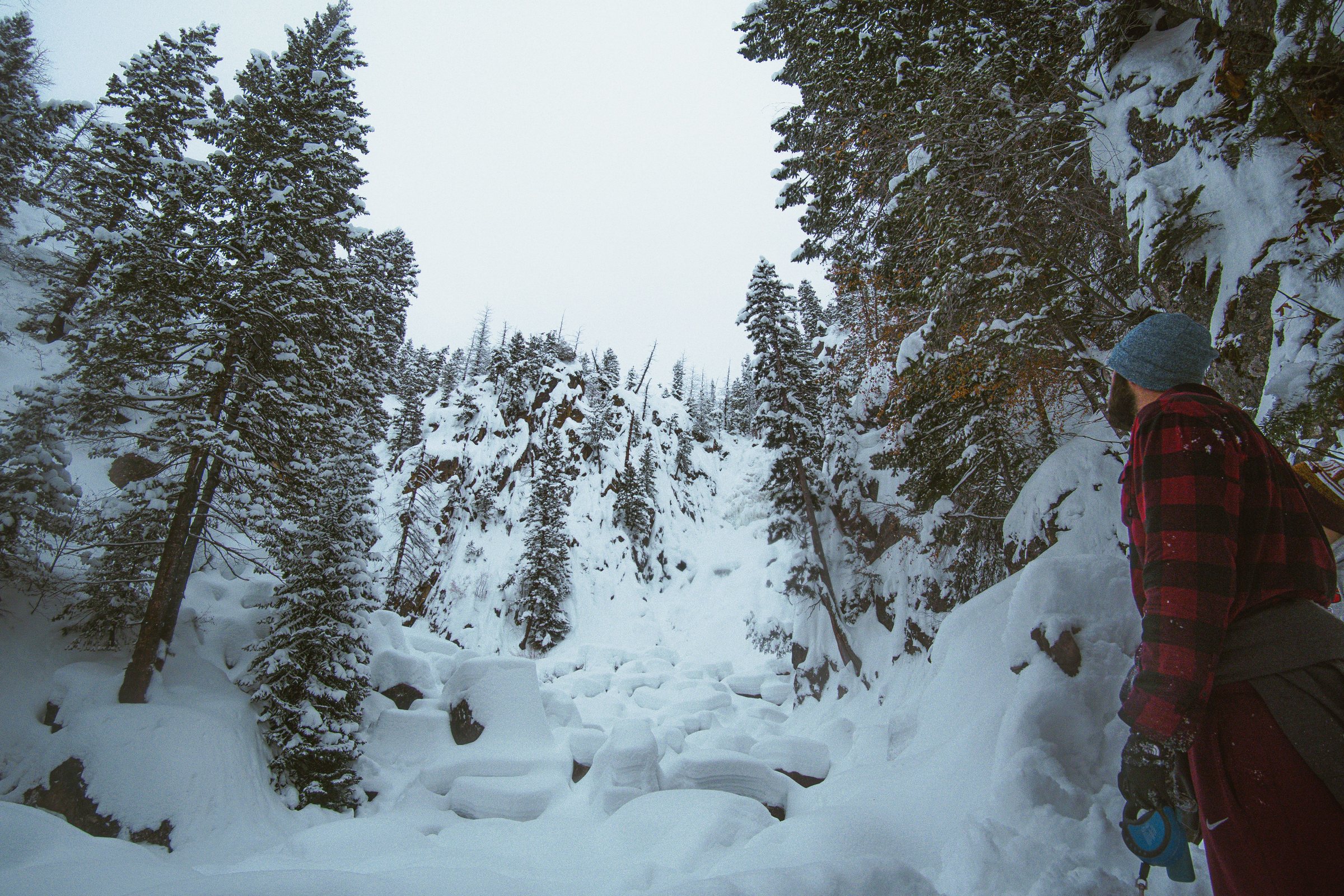 A person in a red plaid jacket and blue knit hat looks into a snowy forest of evergreen trees beside a snow-filled creek bed