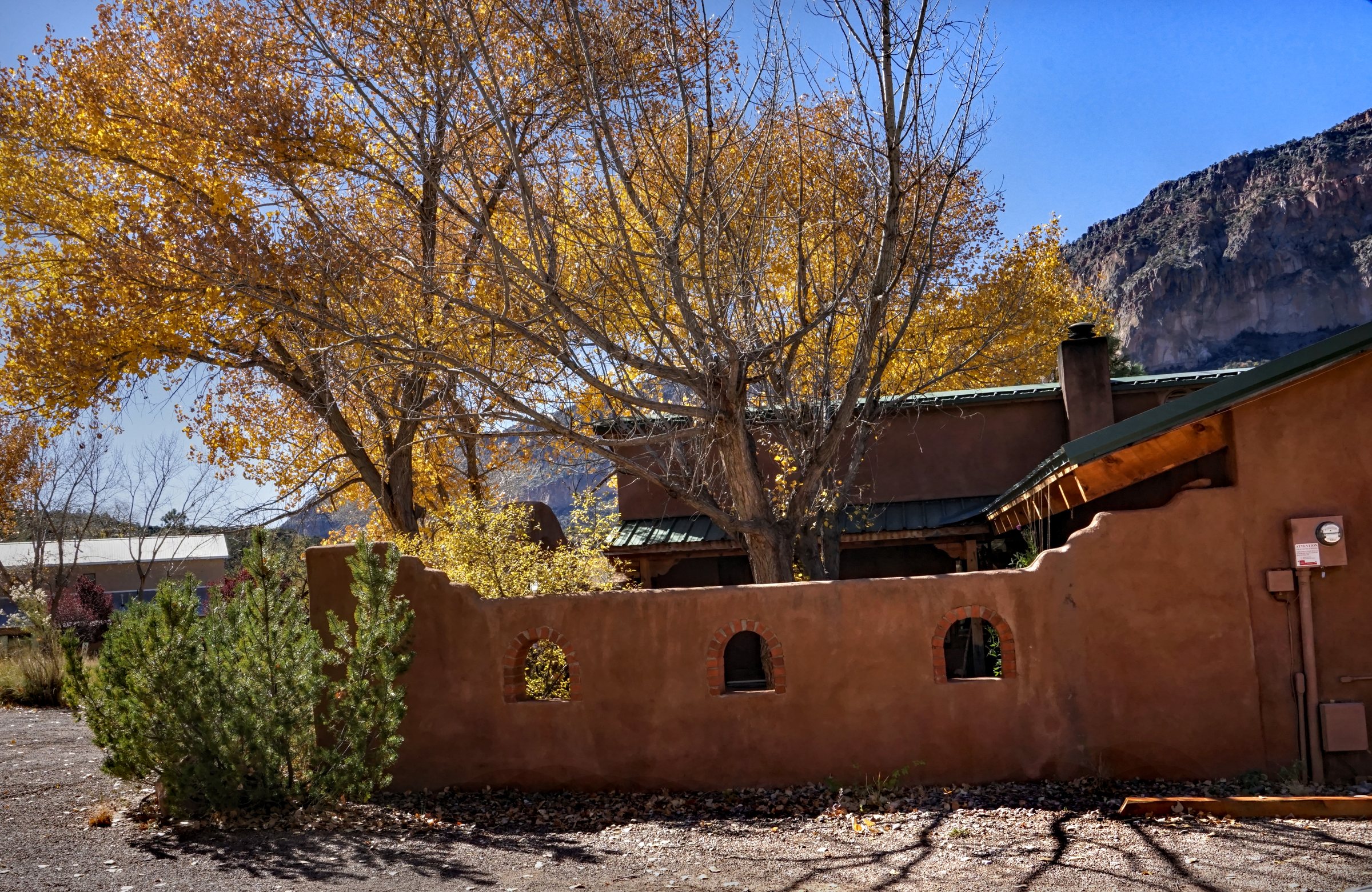 Yellow cottonwood trees beside an adobe wall and buildings below a rocky cliff in Jemez Springs